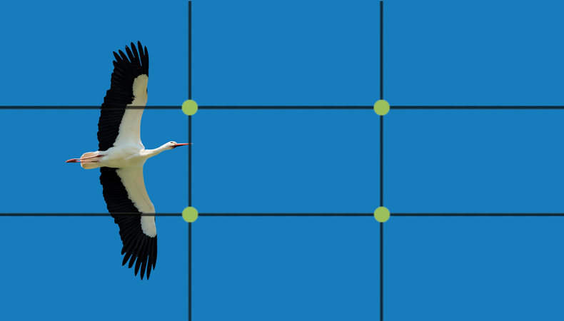 Rule Of Thirds Definition And Examples In Film Backstage