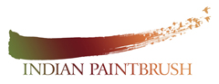 indian paintbrush production