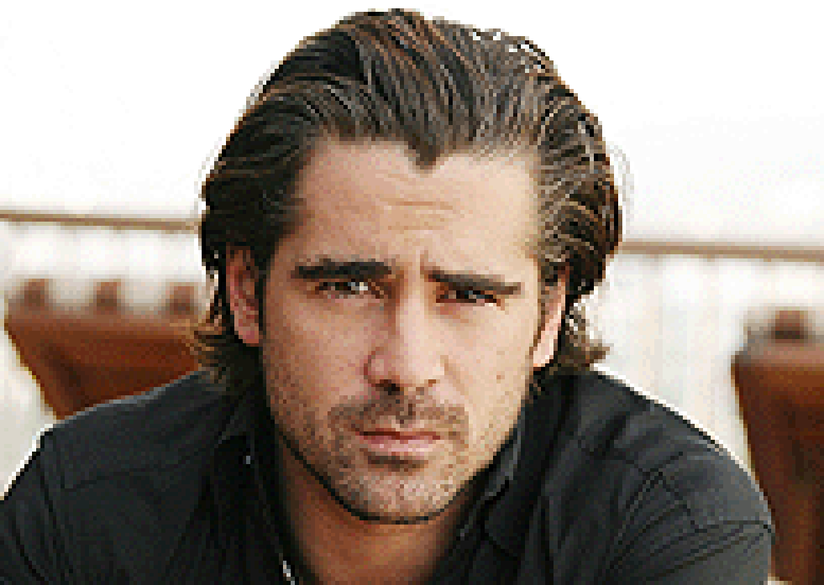 Fighting Irish, image size:1185x842