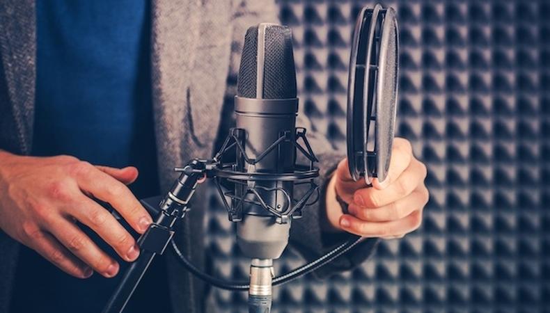 Now Casting: Versatile Voice Actors Needed for Children's Entertainment ...