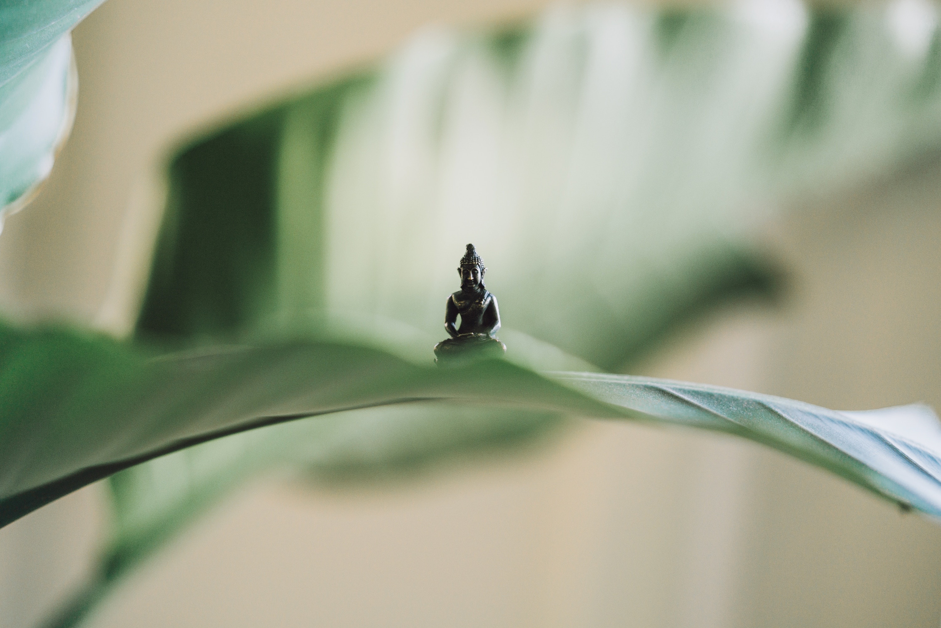 Why Every Actor Needs a &lsquo;Zen Toolbox&rsquo; + How to Build Yours