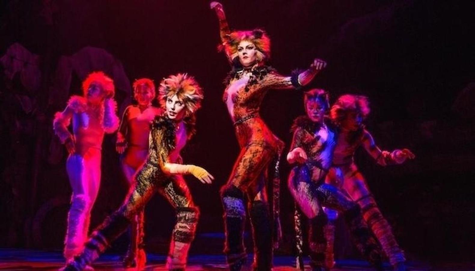 Now Casting Play a Principal Role in the ‘Cats’ Tour + 3 More Gigs