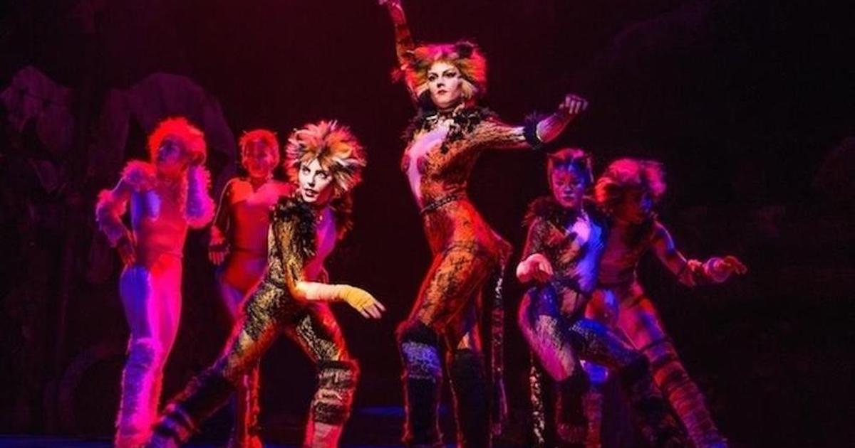 Now Casting Play a Principal Role in the ‘Cats’ Tour + 3 More Gigs