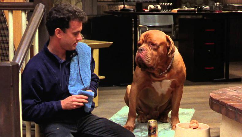 Disney+ Is Recruiting for Its 'Turner & Hooch' Reboot Series