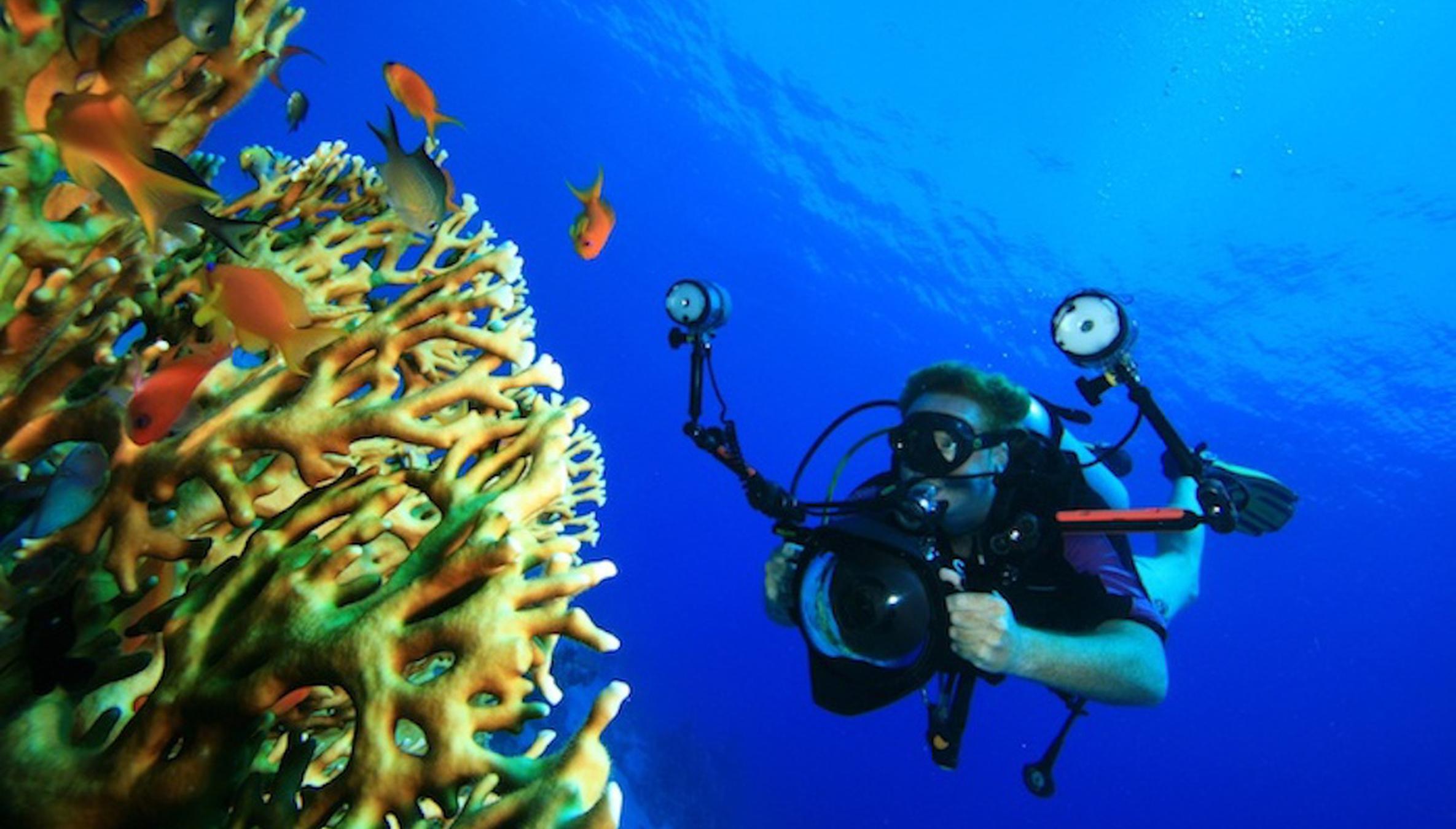 4 Tips for Shooting Photos + Videos Underwater