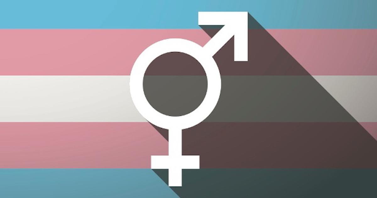 TRANS magazine