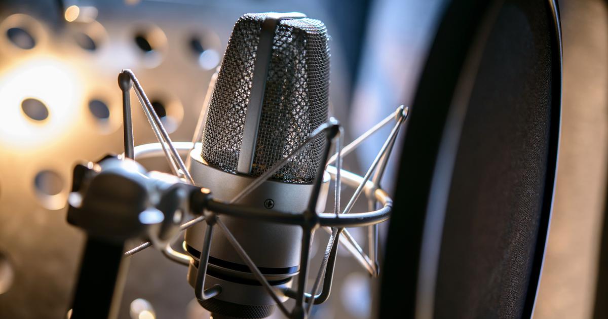 The Best Voice Actings Mics On A Budget Backstage