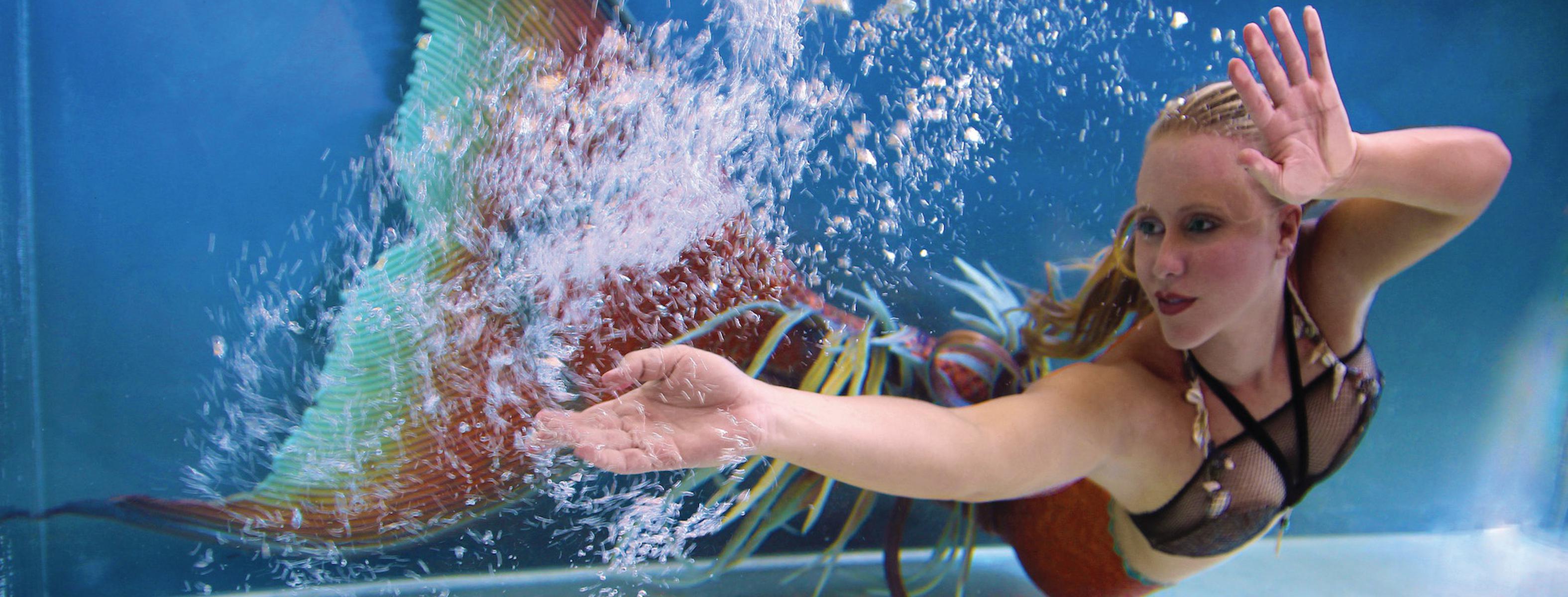 Professional Mermaids Make Quite the Splash (and Cash)