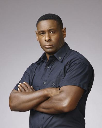 David Harewood Homeland