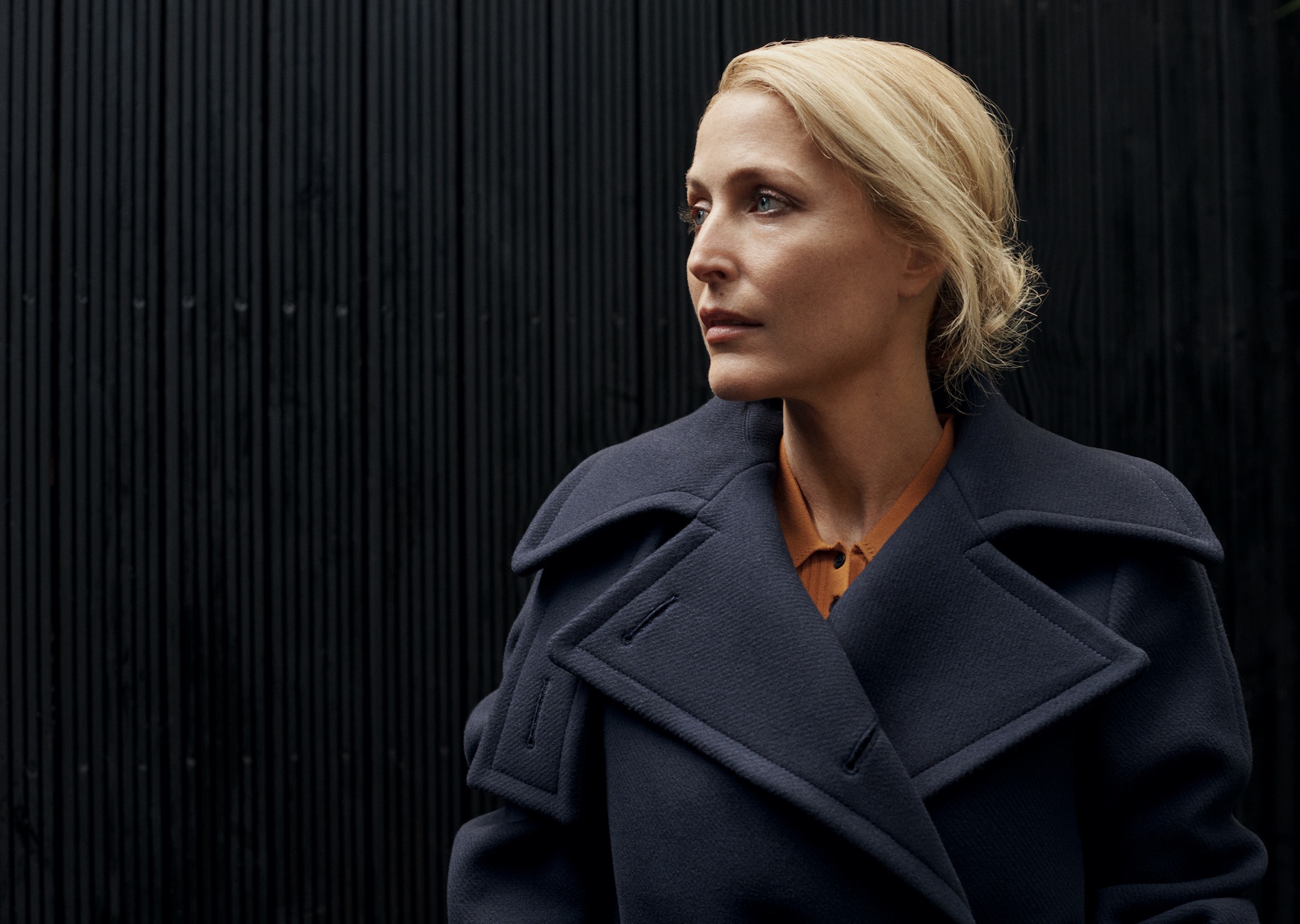 Gillian Anderson: A Woman of Character
