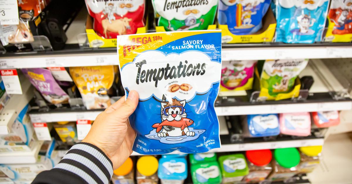 Star in a Temptations Cat Treats Commercial + 3 More Gigs