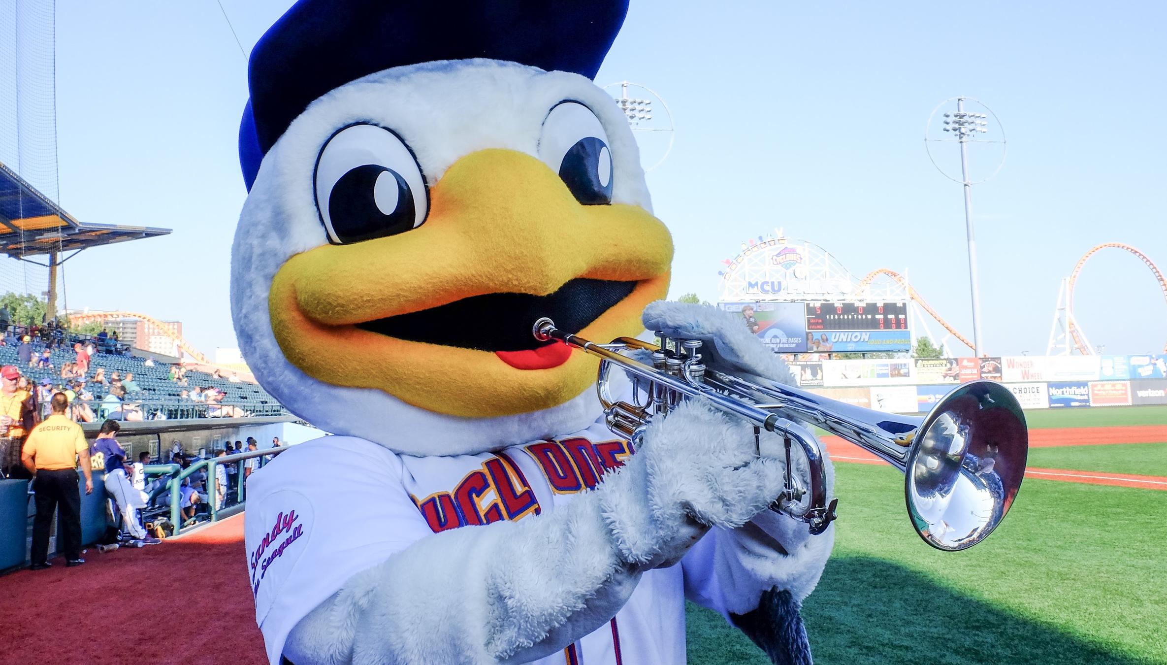 Brooklyn Cyclones mascot Sandy the Seagull in dugout before game