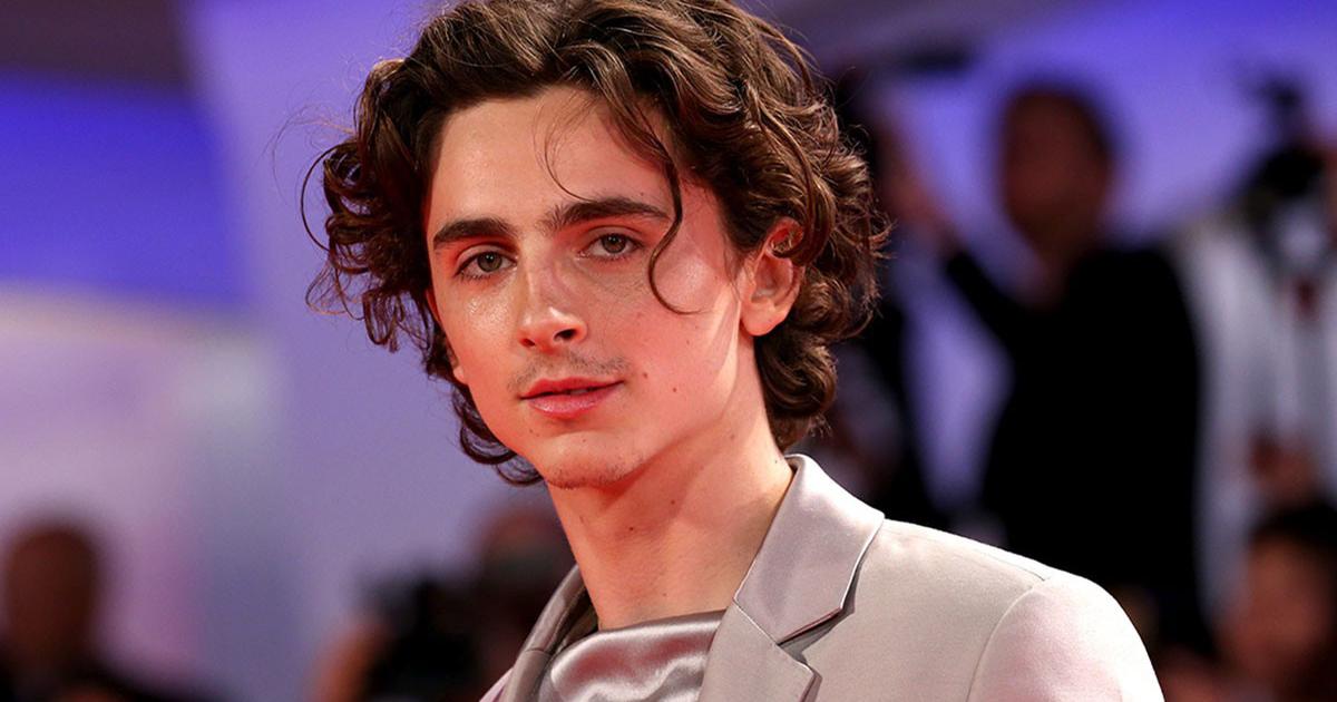 Greenlit: Timothée Chalamet Will Play Willy Wonka in New Warner Bros ...