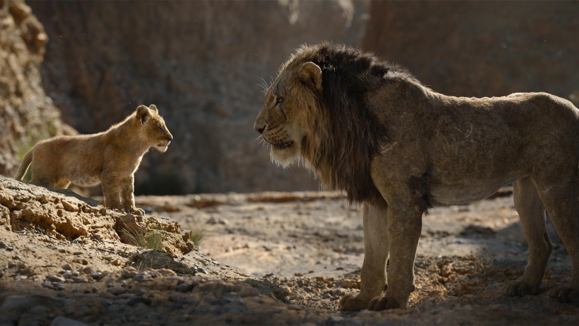 Greenlit Disney S Live Action Lion King Prequel Finds Its Stars More
