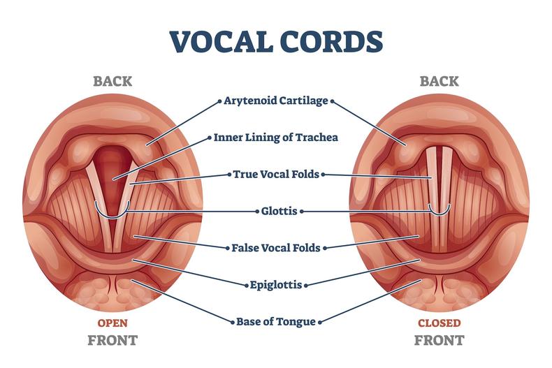 Can you whisper if you lose your voice?