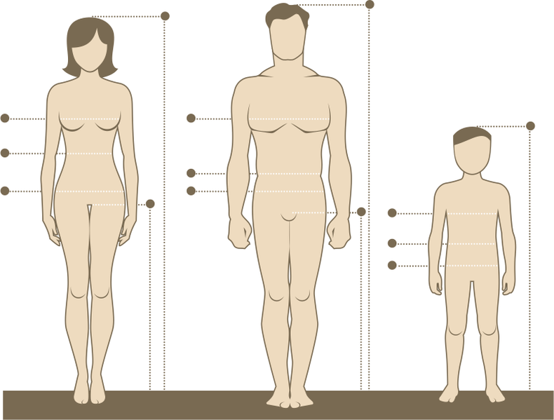 Model Measurements in cm Height 5 ft 10 in Bust/chest 30.7 in Hips