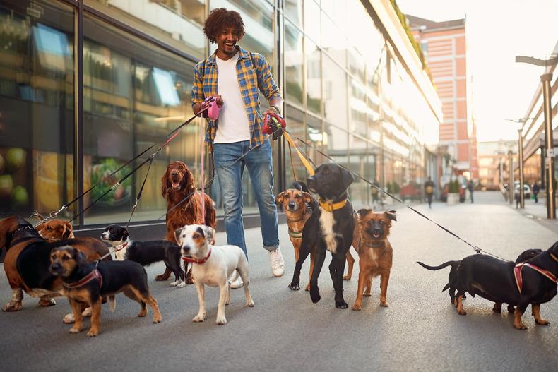 Dog-walker