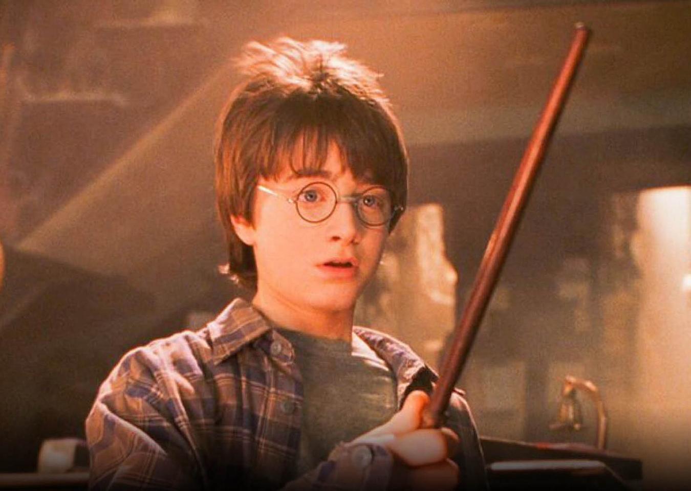 All Harry Potter HBO Max Series Fan Castings, Ranked