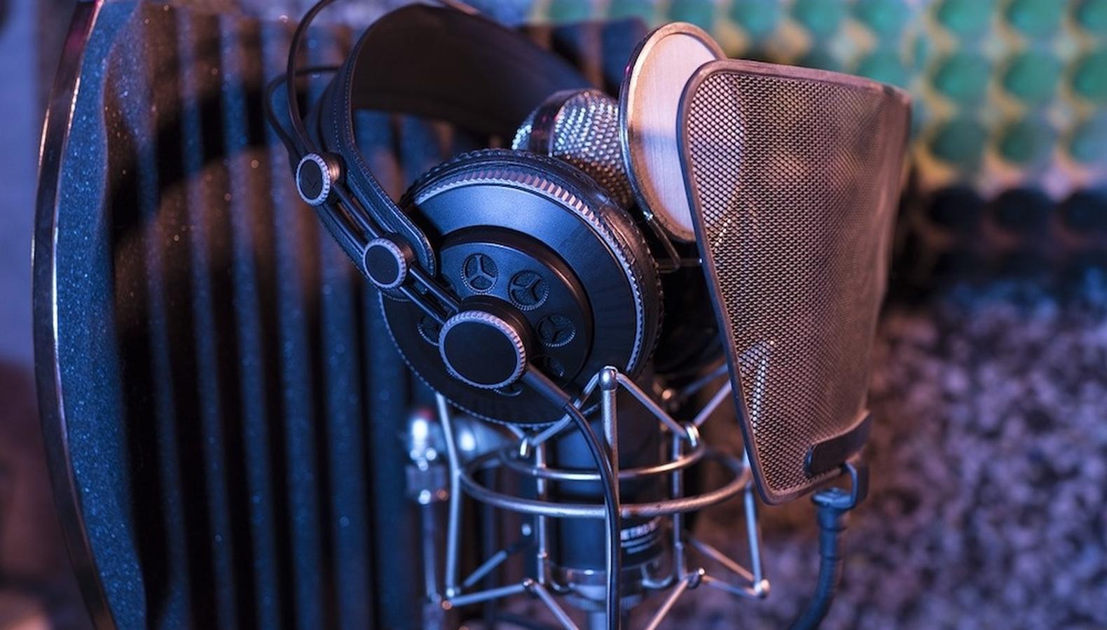 What Makes a Voice Actor?