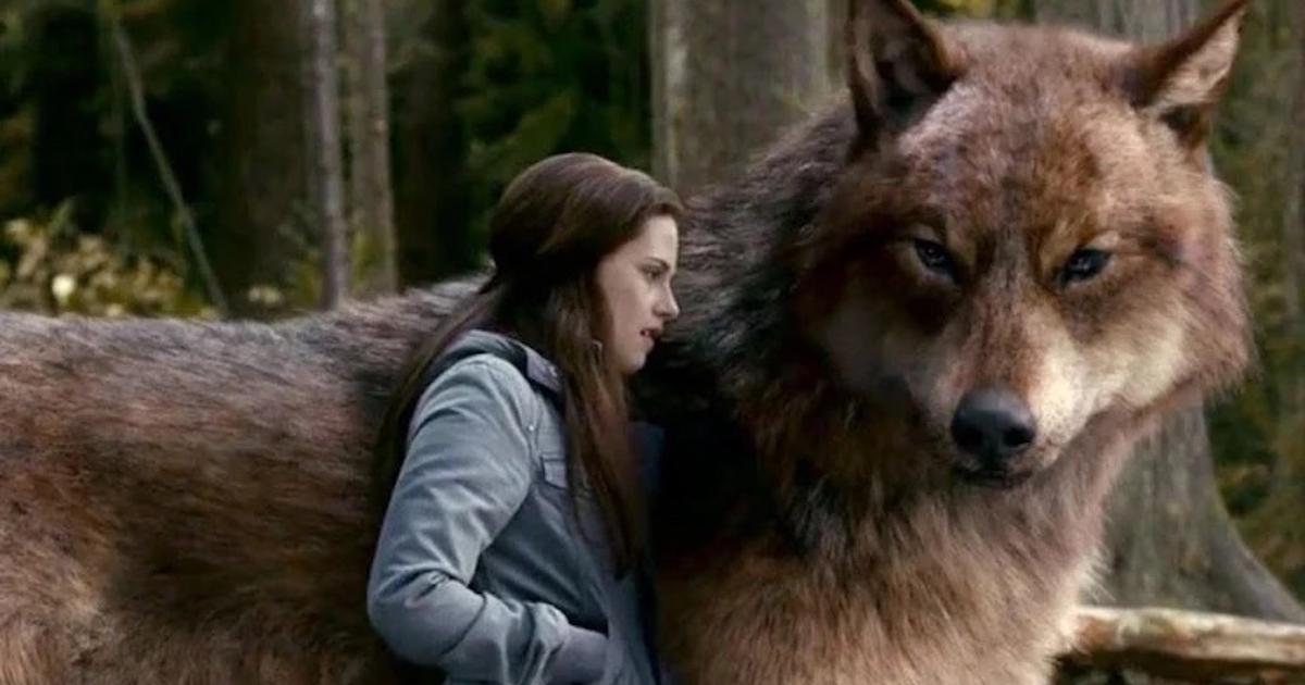 Now Casting: Earn $2,100 for a Werewolf-Themed Miniseries