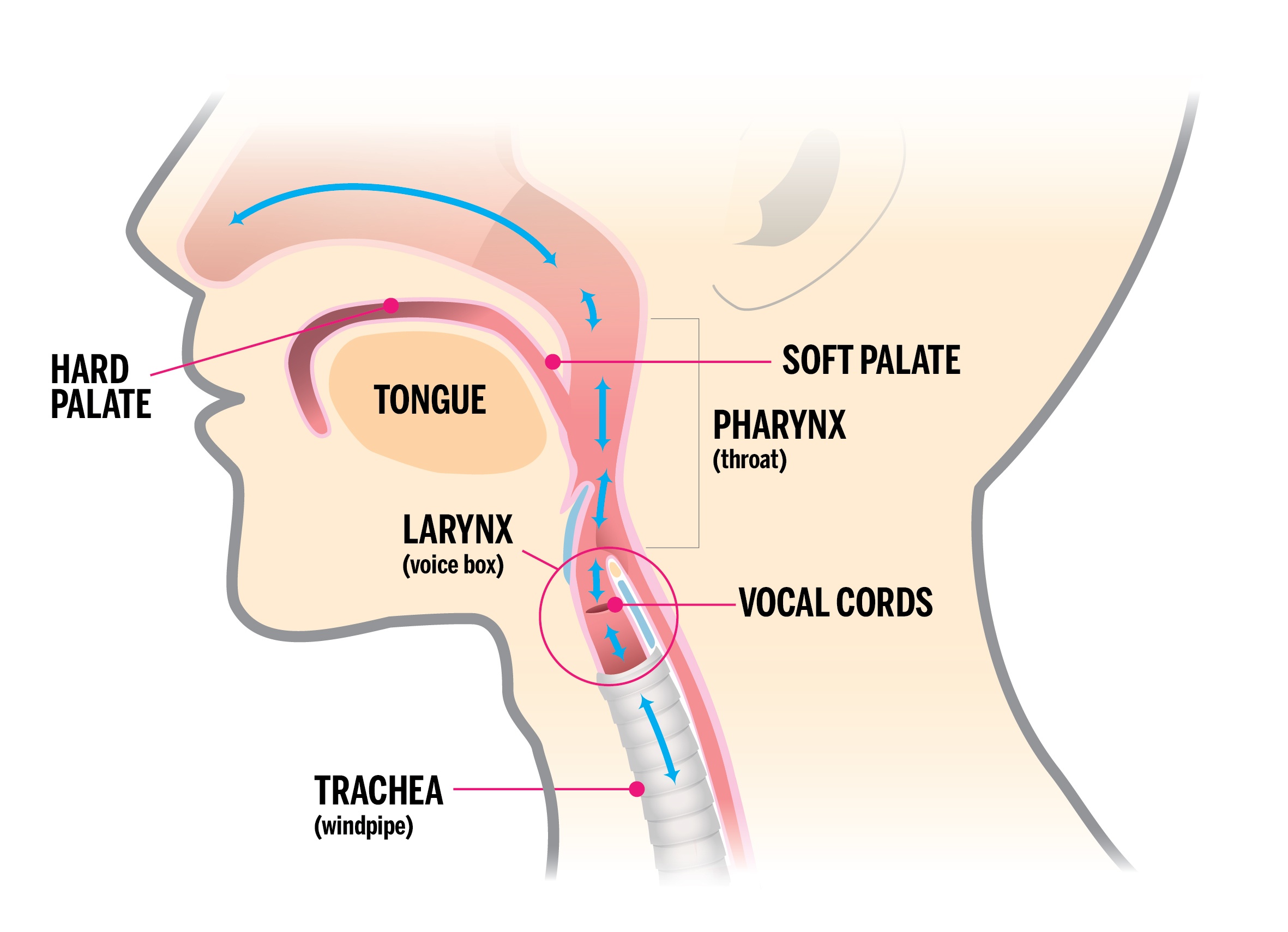 1 Great Trick To Help You Sing High Notes