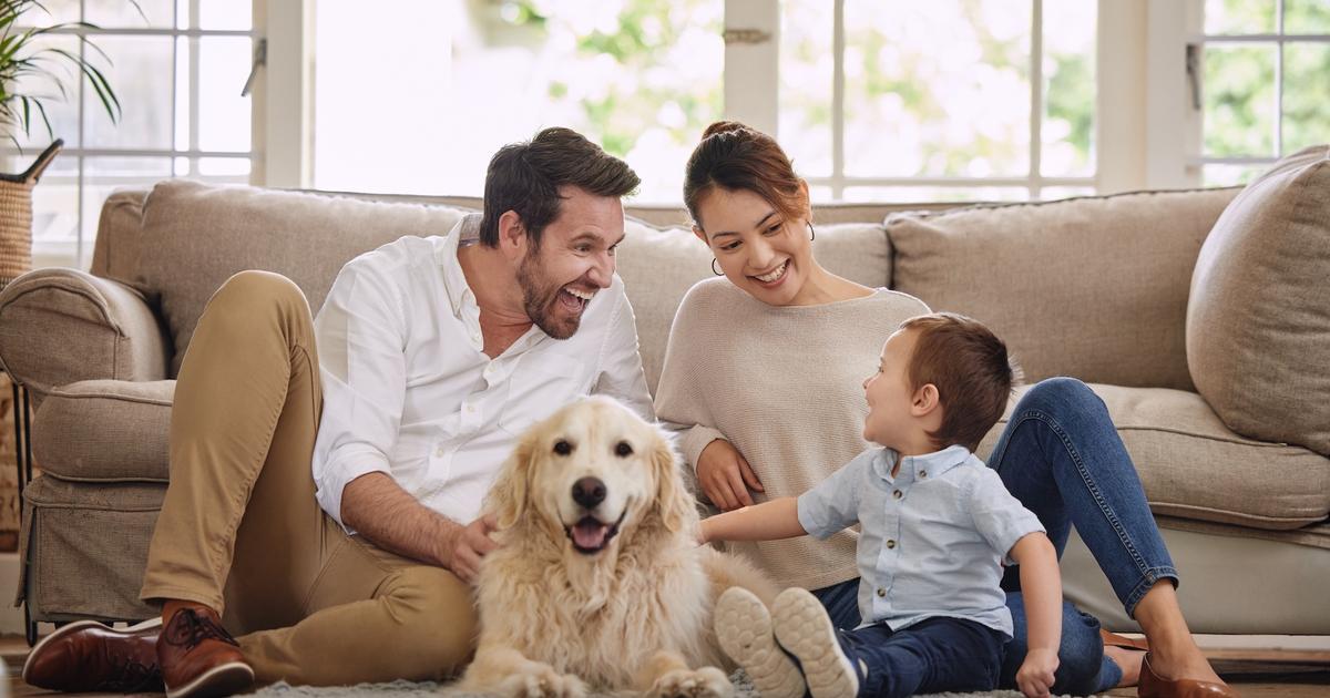 Now Casting: Star in a Dog-Centered Family Film | Backstage