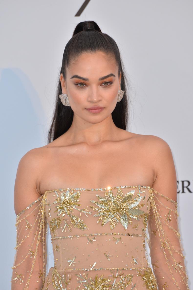 Shanina Shaik