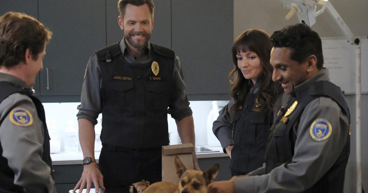 Control Cast How to Get Cast on Fox’s ‘Animal Control’ | Backstage