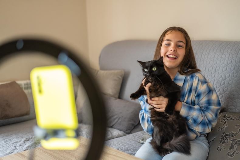cat influencers
