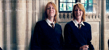 https://d26oc3sg82pgk3.cloudfront.net/files/media/filer_private/2013/07/11/weasley-twins.gif
