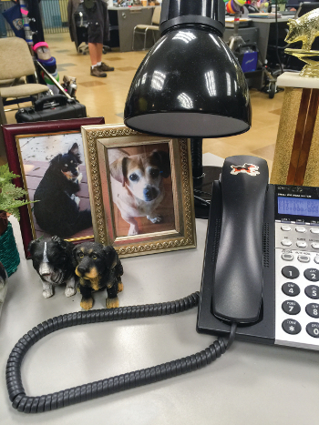 peretti chelsea nine backstage brooklyn linetti gina according loves desk dogs much