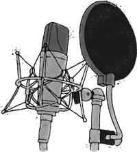 Microphone with pop filter