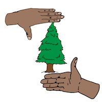 Drawing of hands framing a tree