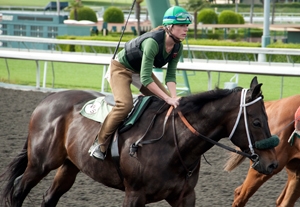 HBO Cancels 'Luck' Amidst Animal Deaths