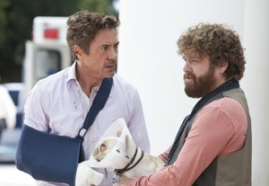 Due Date