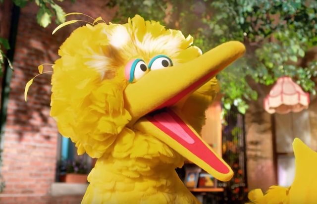 How to Land an Acting Job at Sesame Place