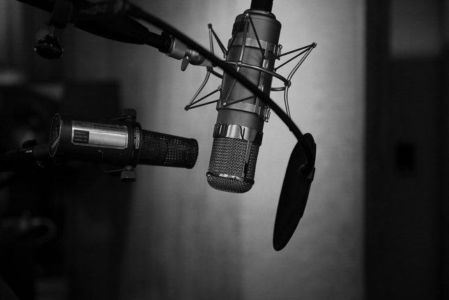 6 Key Elements That Add Up to a Successful Voiceover Demo