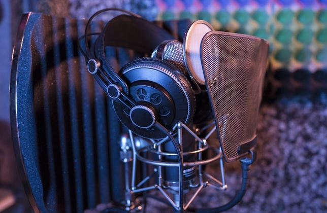 What Makes a Voice Actor?