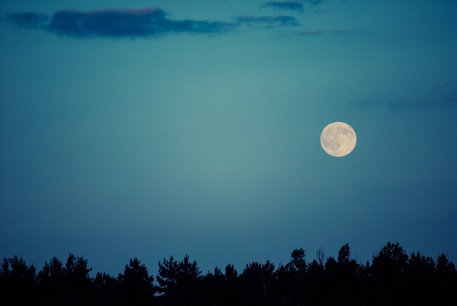Horoscopes: Actors, What Does May Have in Store for You?