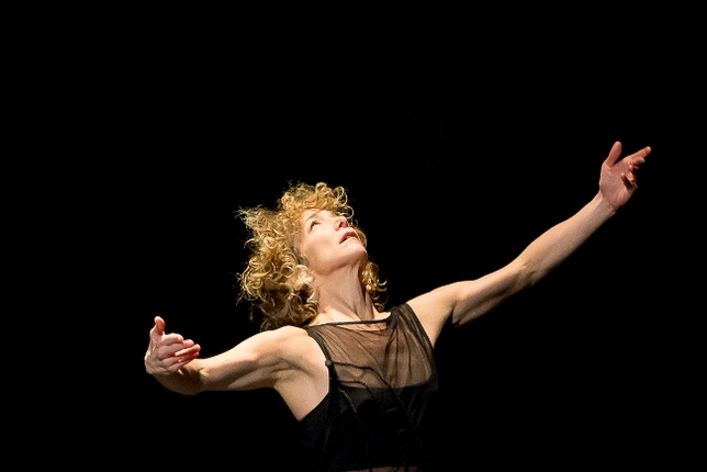 The Contemporary Dance Company Spotlighting Gorgeous Under-the-Radar Dancers