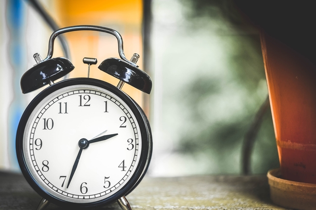 Actor Training: Full-Time vs. Part-Time