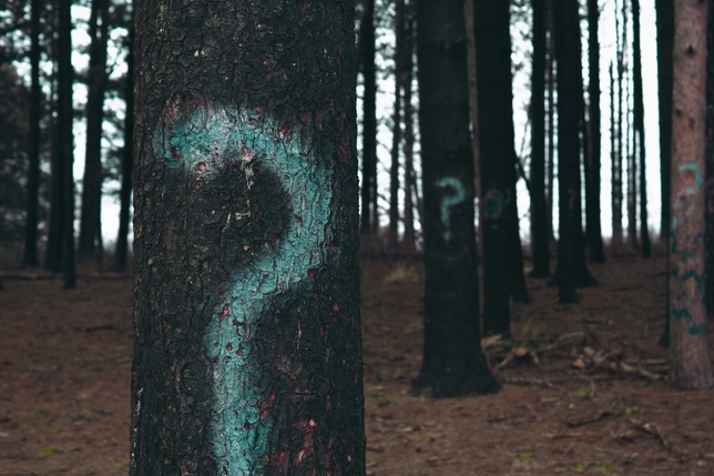 If You Want an Acting Career, Answer This One Question