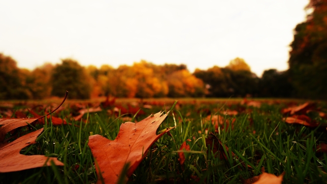8 Ways Performers Can Make a Healthy Transition from Summer to Fall