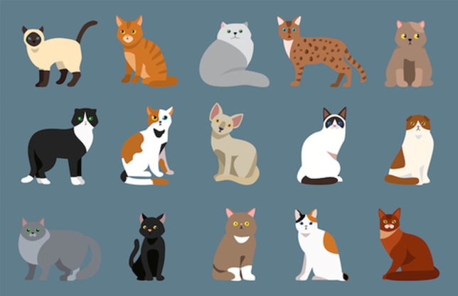 L.A. Now Casting: Earn $1,000 as the Boy Hero in Animated ‘Cats’ Web Series