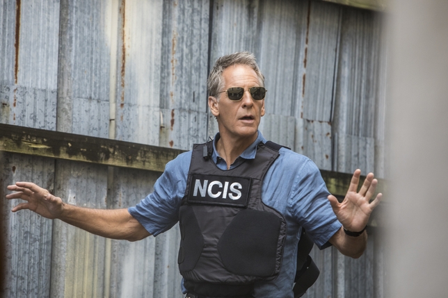 Now Casting: CBS's ‘NCIS: New Orleans’ Is Seeking Extras With Costumes + 3 More Gigs