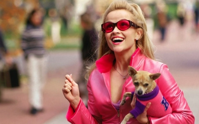 Now Casting: Play a Lead in ‘Legally Blonde’ Stage Musical + More