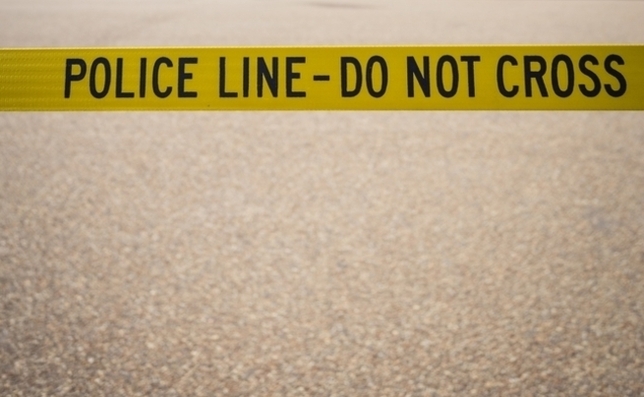 U.K. Casting: Play One of Many Roles Available in a Murder Mystery Video Game