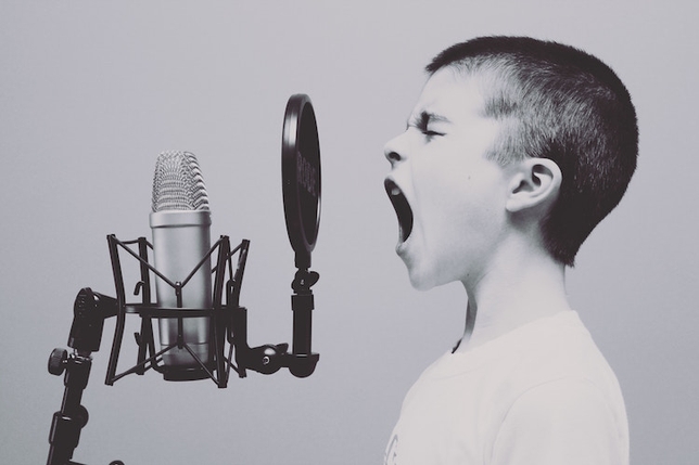 Never Say This to a Voiceover Agent
