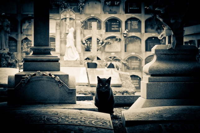 ‘Pet Sematary’ Gets Resurrected