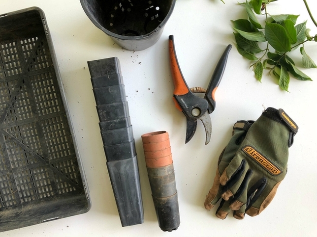 Be the Host of a New National Backyard Makeover Show